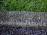 image of grave number 834281
